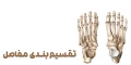 تقسیم‌بندی کارکردی مفاصل