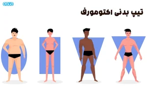 تیپ بدنی اکتومورف