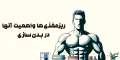 ریز مغذی‌‌ ها و اهمیت آنها در بدن‌سازی