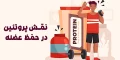 نقش پروتئین در حفظ عضله و رژیم غذایی