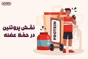 نقش پروتئین در حفظ عضله و رژیم غذایی