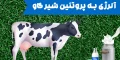 آلرژی به پروتئین شیر گاو