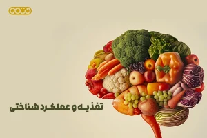 تغذیه و عملکرد شناختی: چگونه غذایی که میخوریم، ذهن ما را شکل میدهد