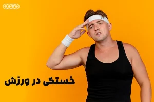 متابولیسم ATP در عملکرد سلولهای عضلانی