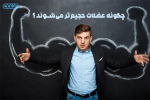 چگونگی افزایش حجم عضلانی