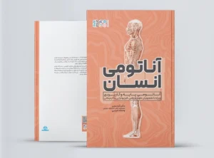 آناتومی انسان رنجبر آناتومی انسان