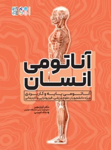 آناتومی انسان
