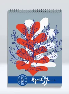 دفتر طراحی ماتیس