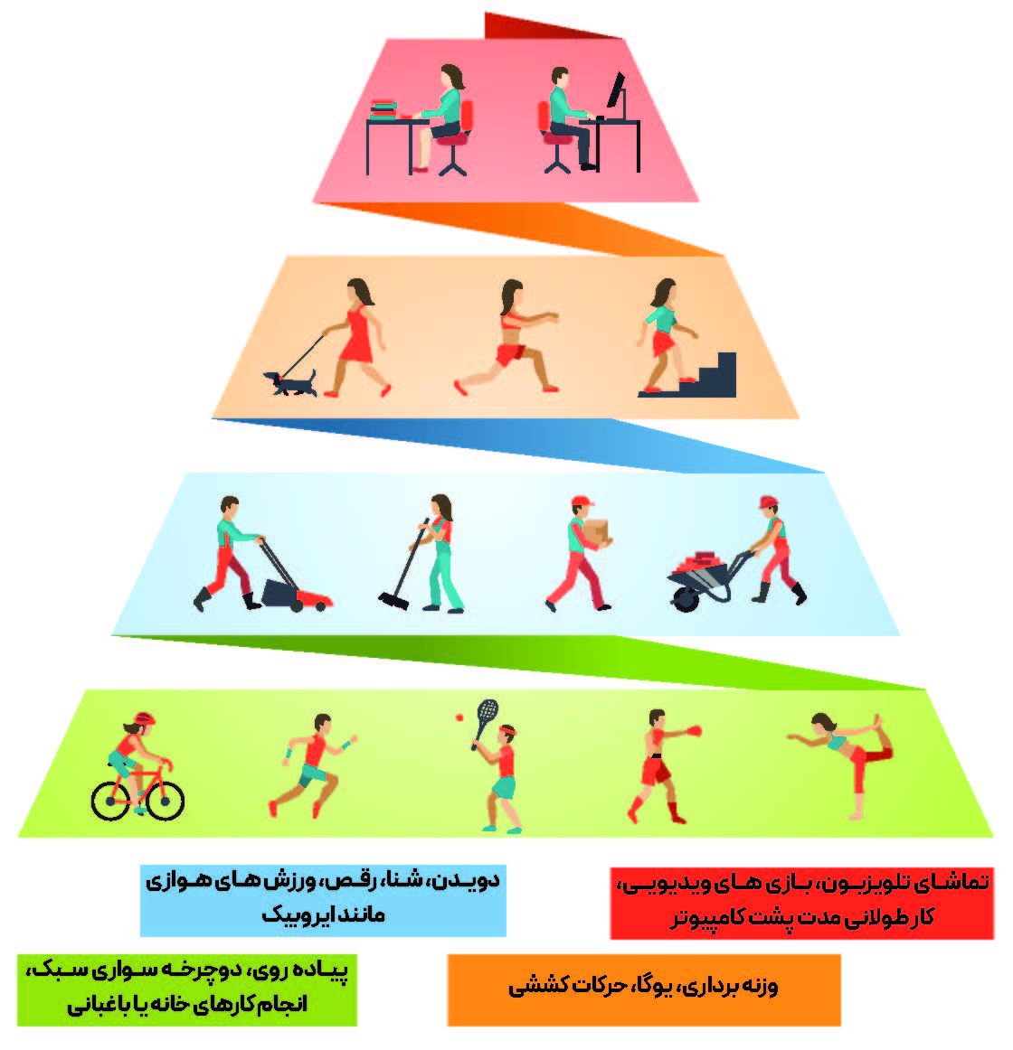 هرم فعالیت بدنی چیست و هر آنچه باید از آن بدانید مقالات تربیت بدنی هرم فعالیت بدنی چیست