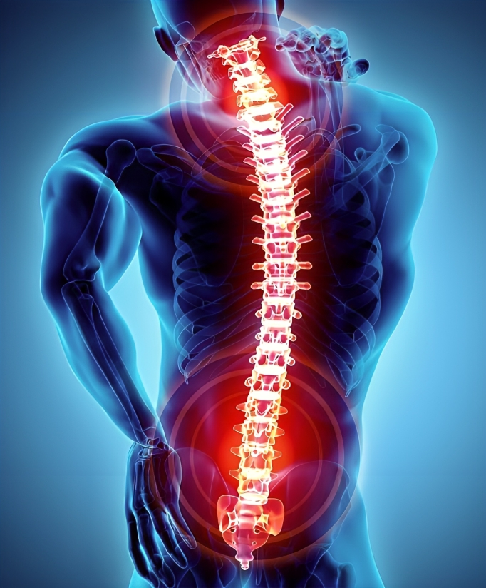 پیلاتس چیست و مناسب چه افرادی است مقالات بدنسازی پیلاتس چیست