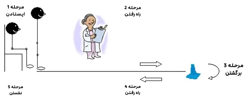 آموزش قدم به قدم نحوه انجام تست تعادل سالمندان مقالات ورزشی نحوه انجام تست تعادل سالمندان