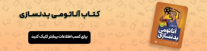 بررسی بهترین زمان شروع بدنسازی مقالات بدنسازی معرفی کتاب آناتومی بدنسازی