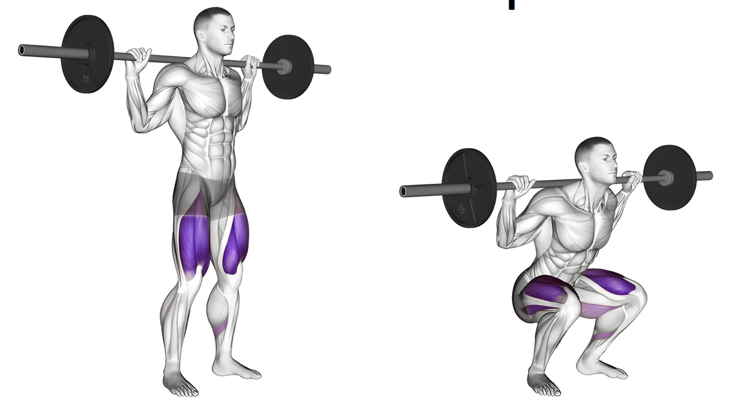 آشنایی با اسامی حرکات کراس فیت مقالات بدنسازی 1747667899247 scaled e1747667968993