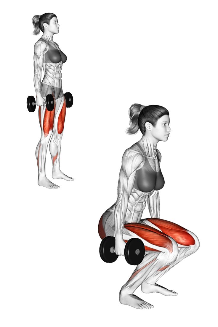 همه چیز درباره کاهش وزن با بدنسازی مقالات بدنسازی Dumbbell Squats for Strong Legs