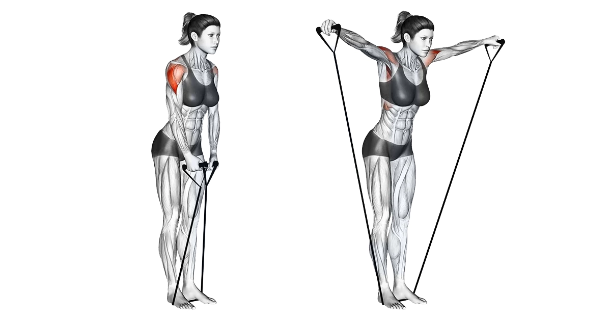 آموزش حرکات سرشانه بدنسازی با تصویر مقالات بدنسازی band lateral raise