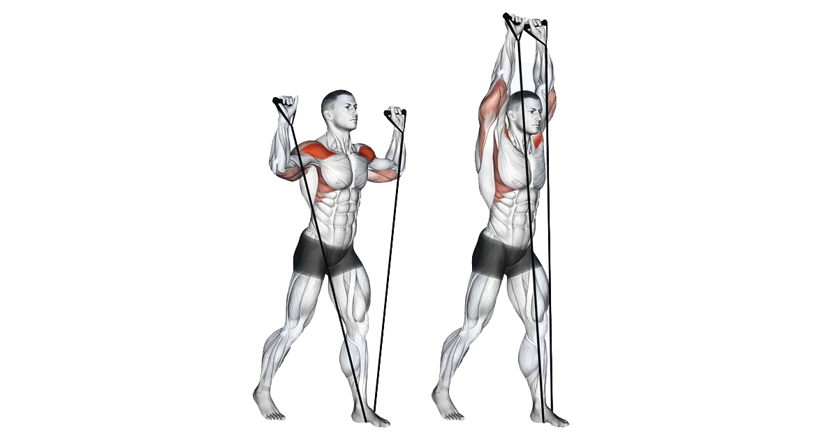 آموزش حرکات سرشانه بدنسازی با تصویر مقالات بدنسازی band shoulder press