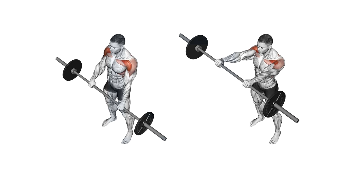 آموزش حرکات سرشانه بدنسازی با تصویر مقالات بدنسازی barbell front raise