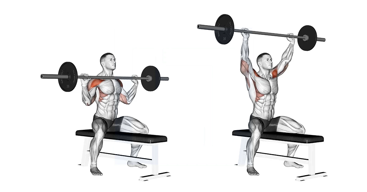 آموزش حرکات سرشانه بدنسازی با تصویر مقالات بدنسازی barbell seated overhead press