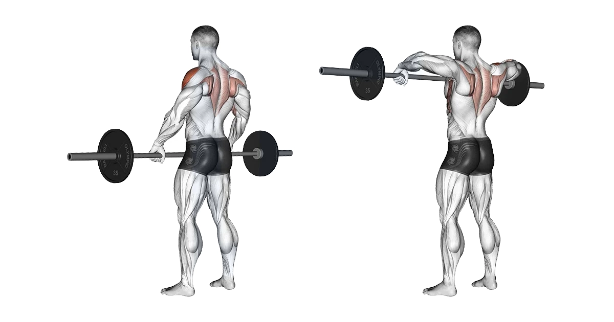 آموزش حرکات سرشانه بدنسازی با تصویر مقالات بدنسازی barbell wide grip upright row
