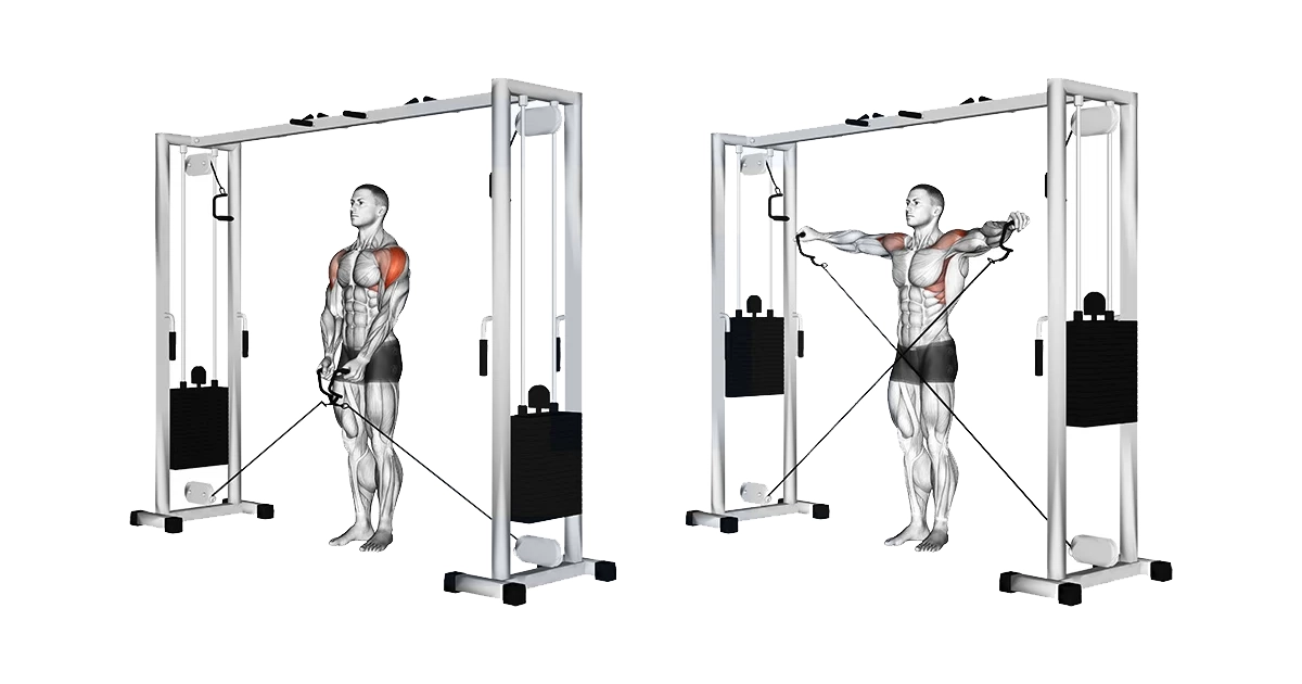 آموزش حرکات سرشانه بدنسازی با تصویر مقالات بدنسازی cable lateral raise