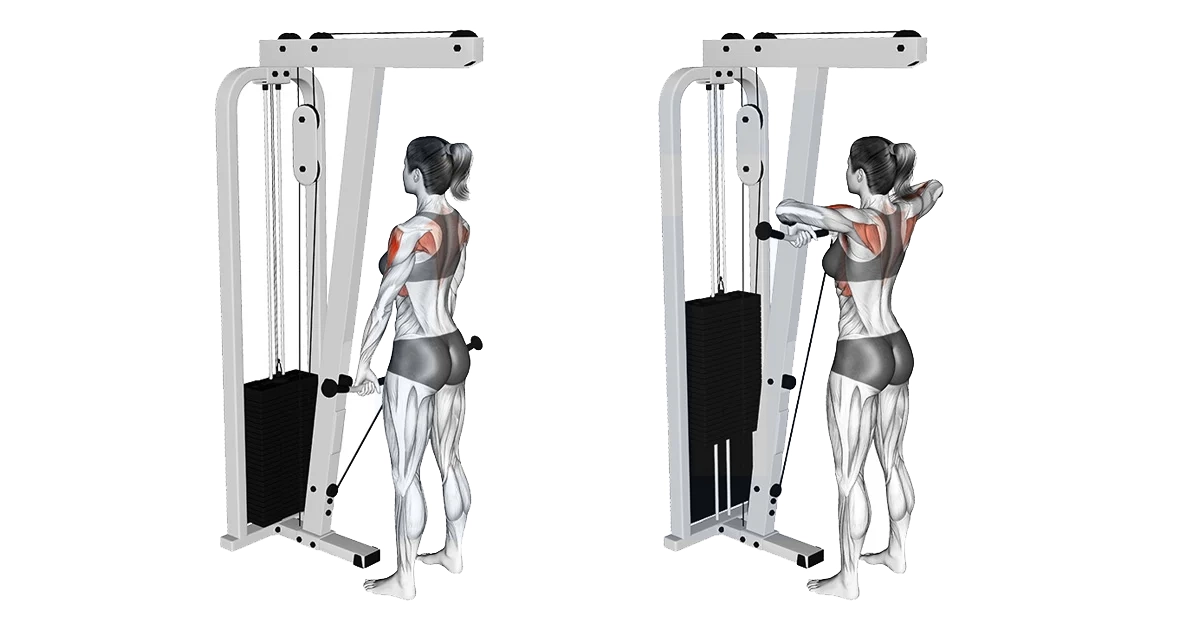 آموزش حرکات سرشانه بدنسازی با تصویر مقالات بدنسازی cable upright row