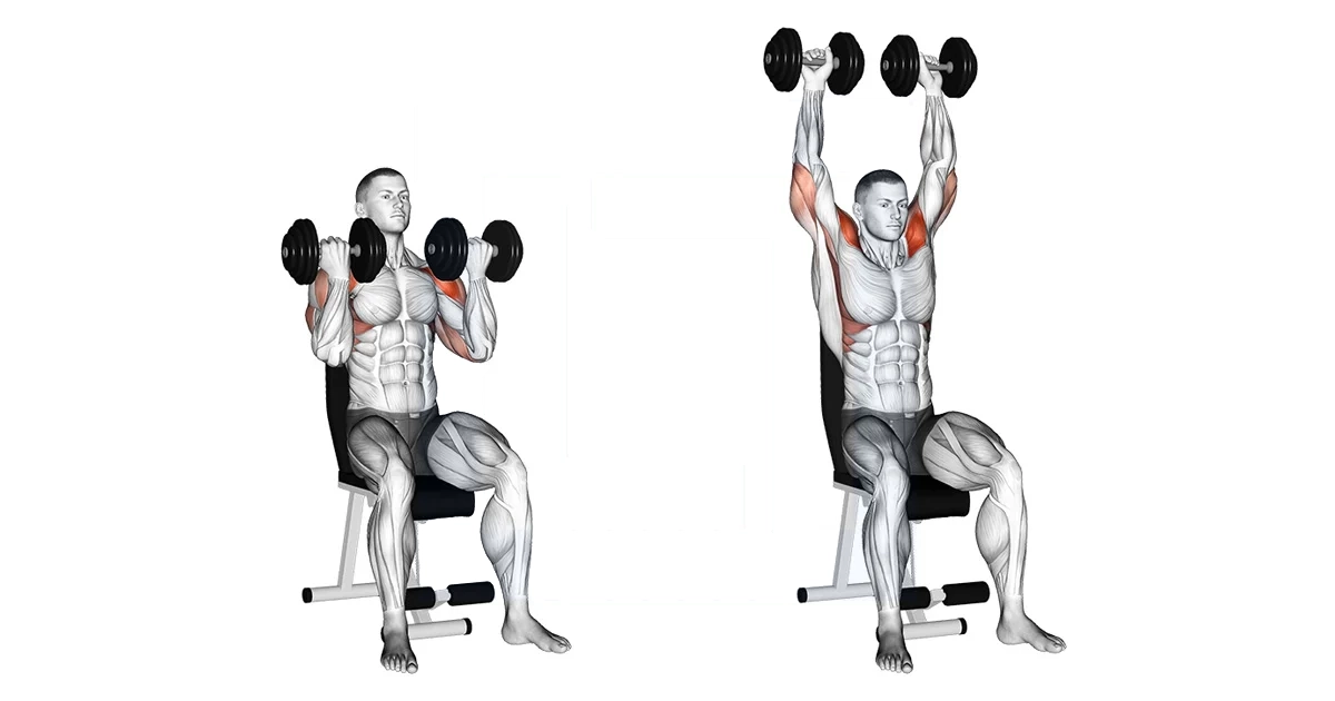 آموزش حرکات سرشانه بدنسازی با تصویر مقالات بدنسازی dumbbell arnold press