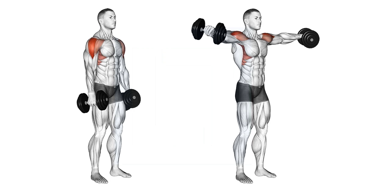 آموزش حرکات سرشانه بدنسازی با تصویر مقالات بدنسازی dumbbell lateral raise