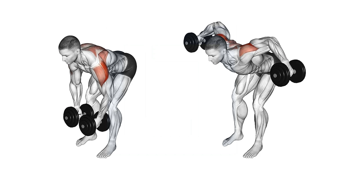 آموزش حرکات سرشانه بدنسازی با تصویر مقالات بدنسازی dumbbell rear lateral raise