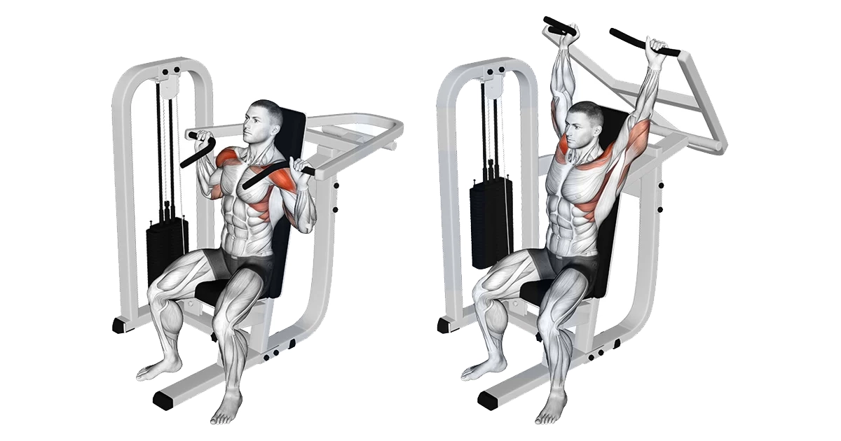 آموزش حرکات سرشانه بدنسازی با تصویر مقالات بدنسازی lever seated shoulder press