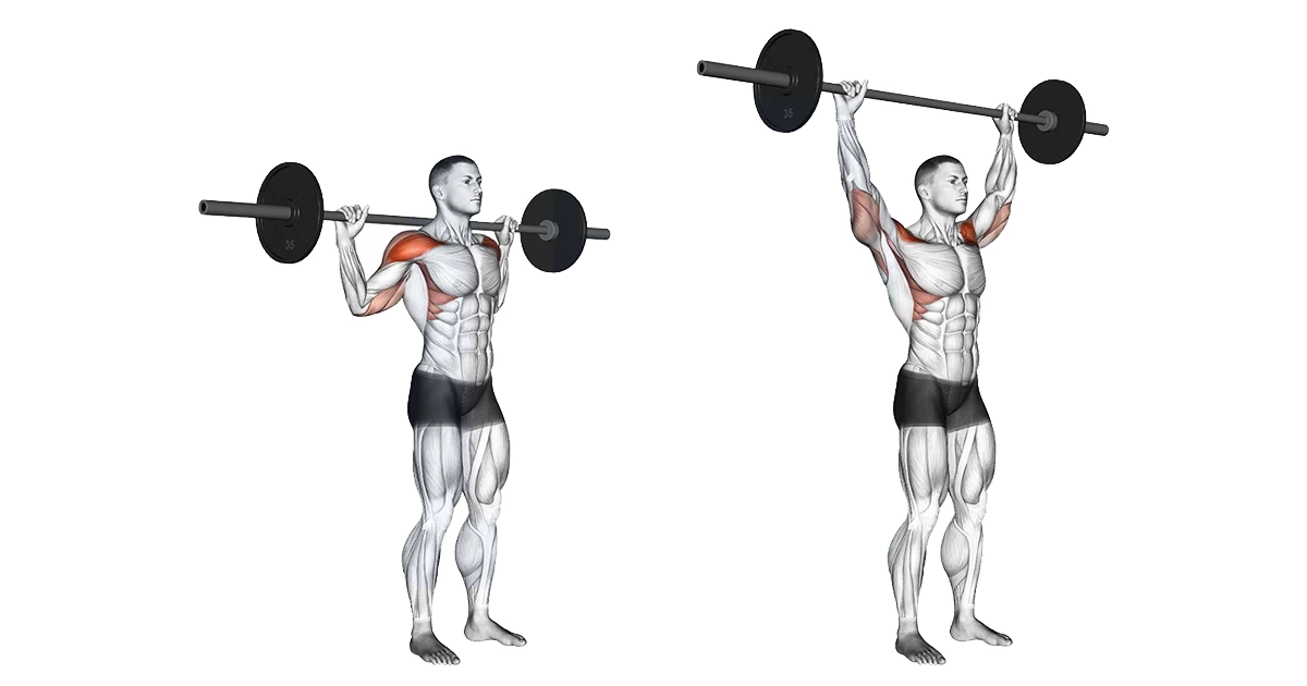 آموزش حرکات سرشانه بدنسازی با تصویر مقالات بدنسازی standing behind neck press