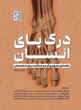 درک پای انسان درک پای انسان