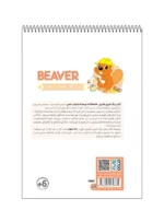 رنگ آمیزی فانتزی BEAVER