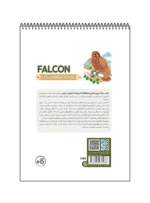 رنگ آمیزی فانتزی FALCON