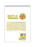 رنگ آمیزی فانتزی BEETLE