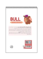 رنگ آمیزی فانتزی BULL