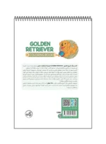 رنگ آمیزی فانتزی GOLDEN RETRIEVER