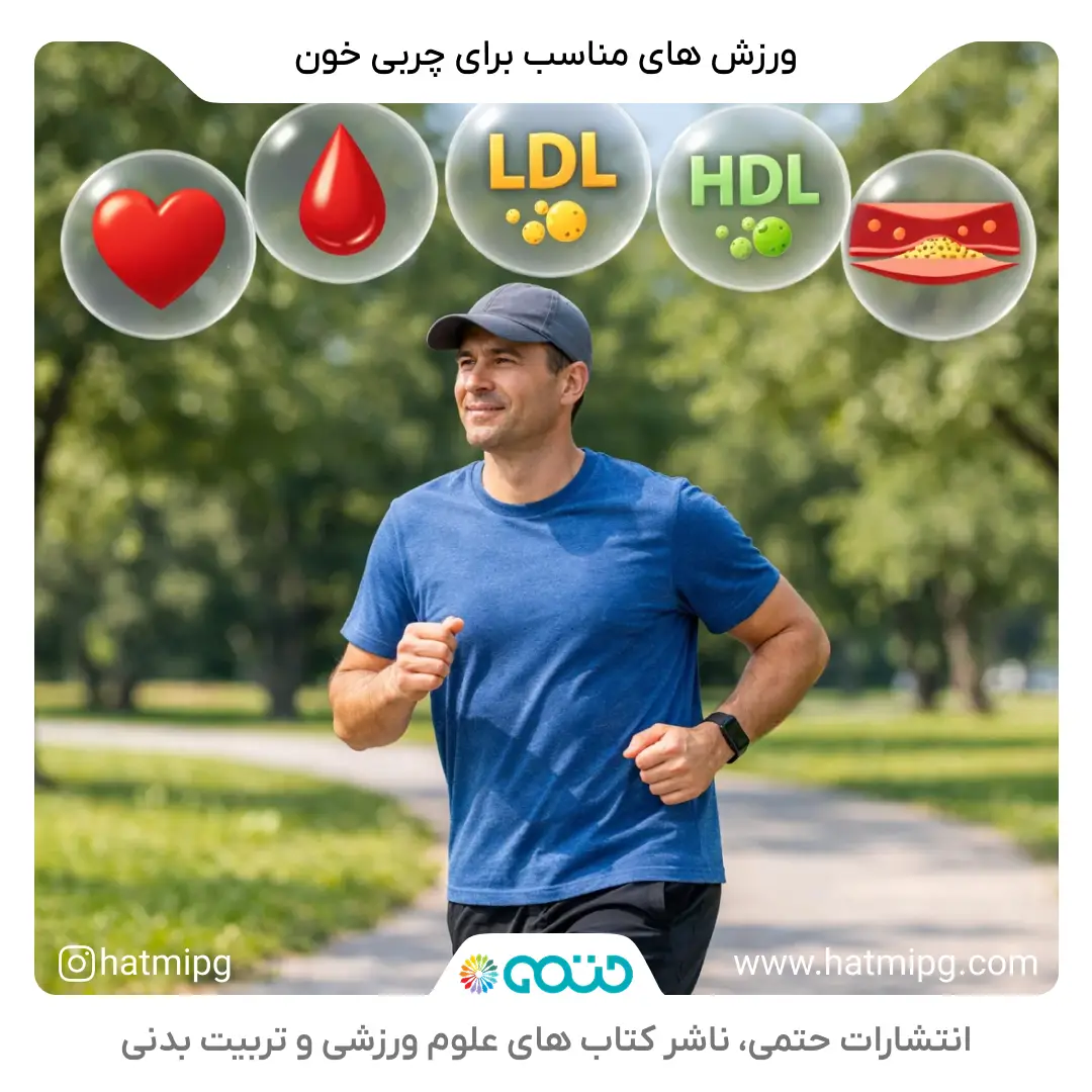 همه چیز درباره ورزش برای چربی خون