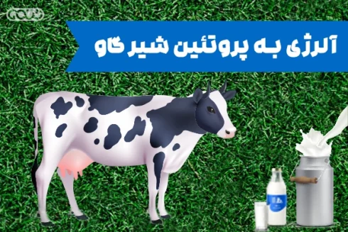 آلرژی به پروتئین شیر گاو